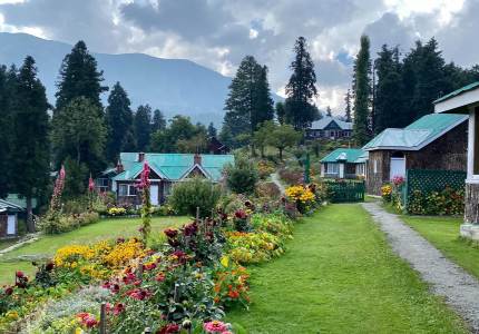 Snow Escape: Chandigarh – Srinagar & Gulmarg