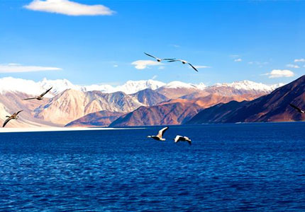 Leh Ladakh to Nubra Pangong Tour from Amritsar