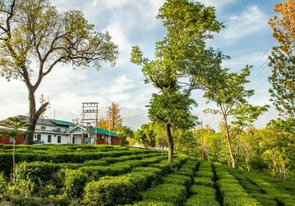 Dharamshala Palampur Hills from Amritsar