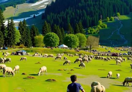 9 Day Kashmir Valley Tour from Chandigarh