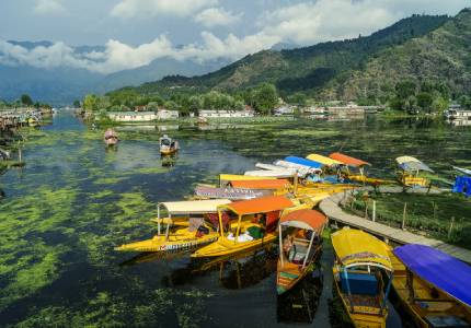 9 Day Kashmir Valley Tour from Chandigarh