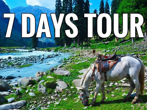 Srinagar Gulmarg Pahalgam 7 Day Holiday